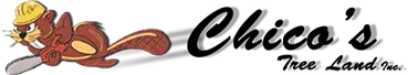 Chico’s Tree Land Inc.