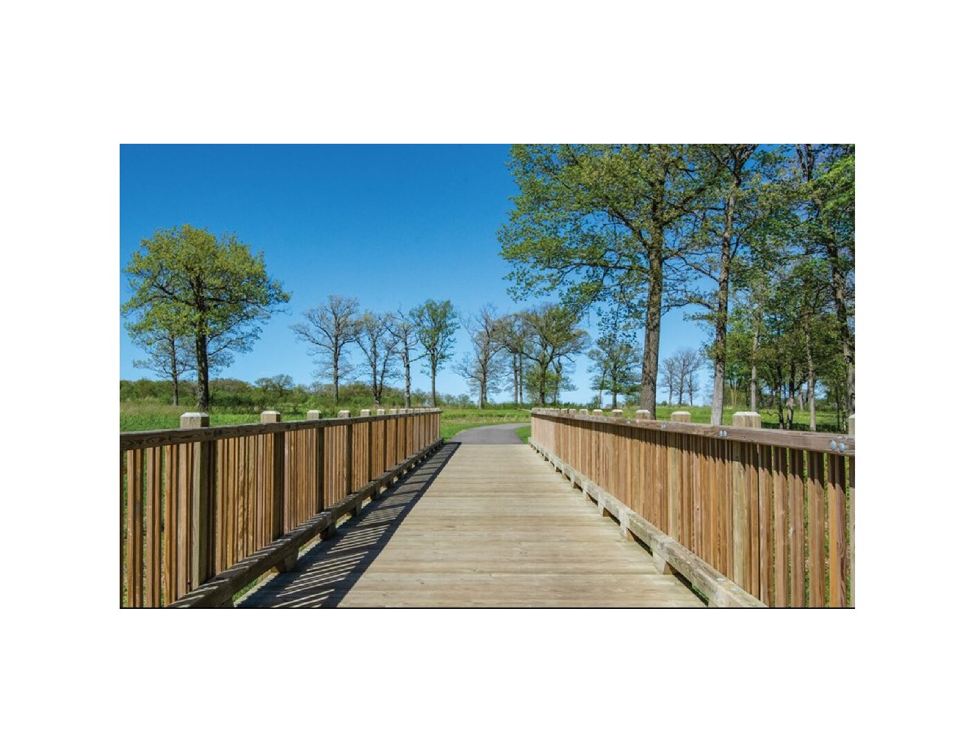 Lake County Forest Preserve News