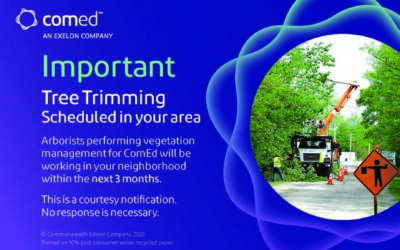 ComEd Tree Trimming