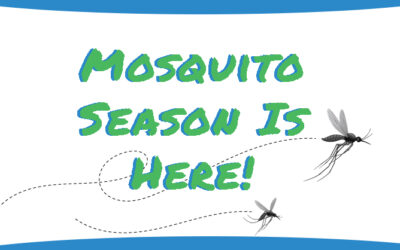 Mosquito Safety Tips
