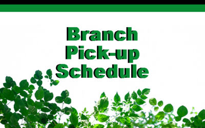 Village Branch Pickup Aug. 11th