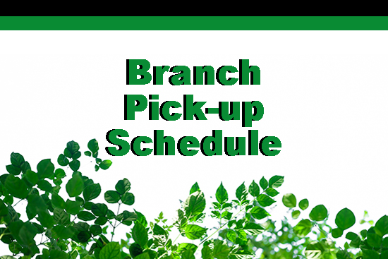 Village Branch Pick Up